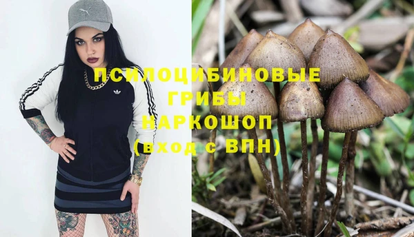 герыч Магадан